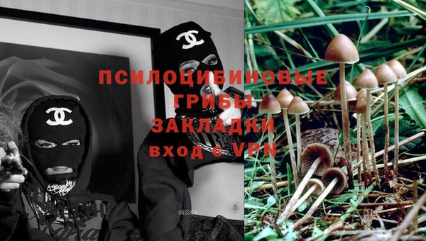 экстази Белокуриха